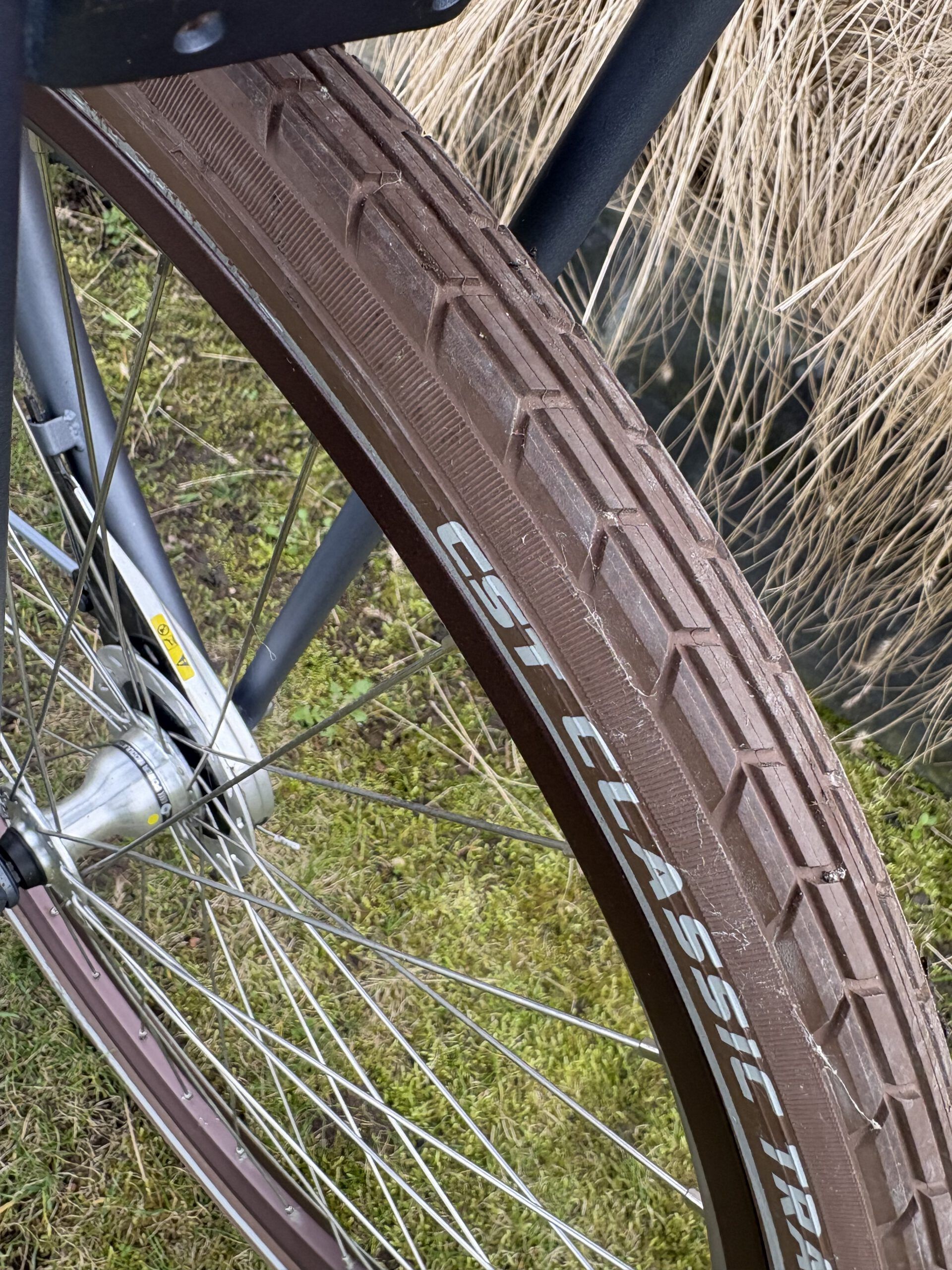 Nieuw, Cortina Roots damesfiets nexus 7 h50 - Afbeelding 2