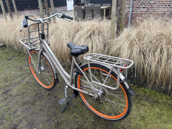 Goede Gazelle Heavy Duty NL damesfiets nexus 3 h49 - Afbeelding 8