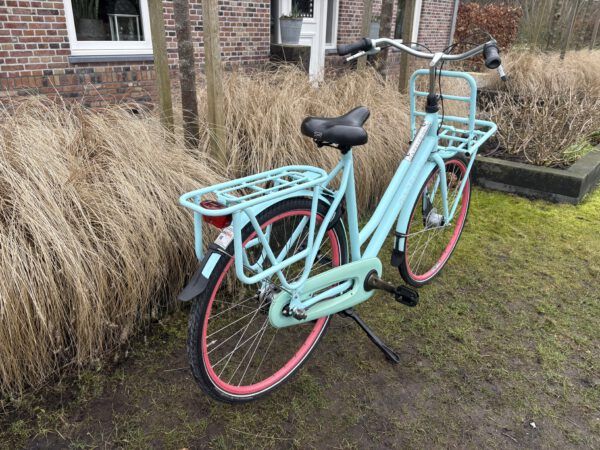 Goede Gazelle Heavy Duty NL damesfiets nexus 3 h59 - Afbeelding 7