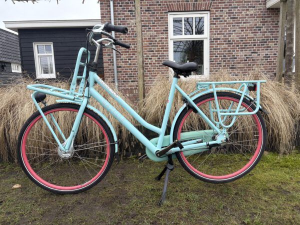 Goede Gazelle Heavy Duty NL damesfiets nexus 3 h59 - Afbeelding 6