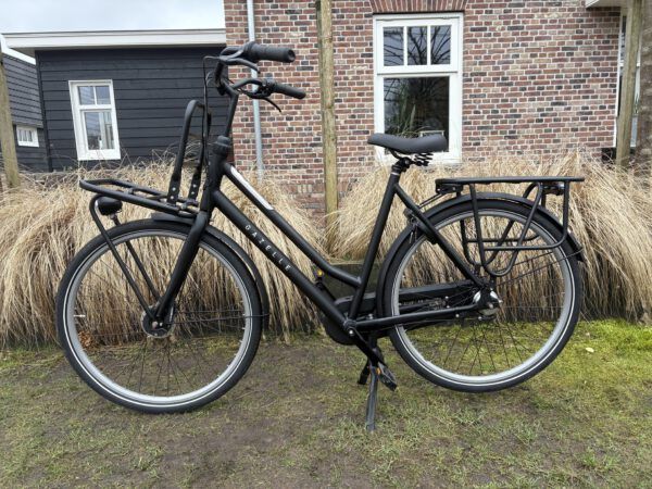 Als nieuw Gazelle Heavy Duty Nl damesfiets nexus 7 h59 - Afbeelding 7