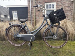 Nieuw, Cortina Roots damesfiets nexus 7 h50
