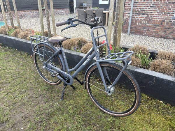 ZGAN , Gazelle Heavy Duty damesfiets nexus  3 - Afbeelding 3