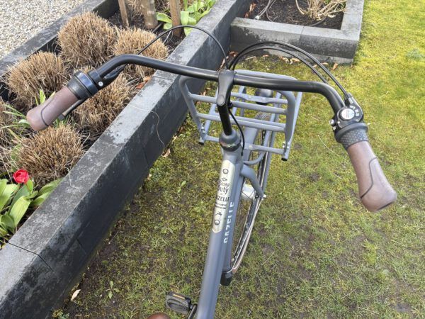 ZGAN , Gazelle Heavy Duty damesfiets nexus  3 - Afbeelding 5